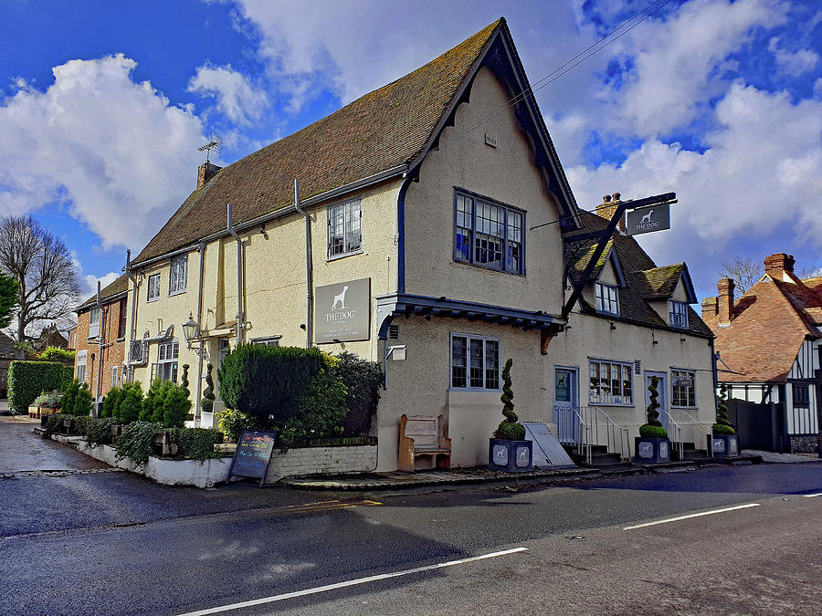 The Dog Inn by Tony Murtagh The Dog Inn by Tony Murtagh