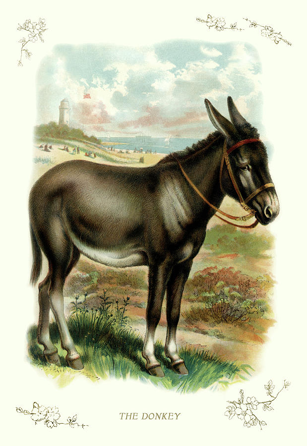 The Donkey Painting by Unknown