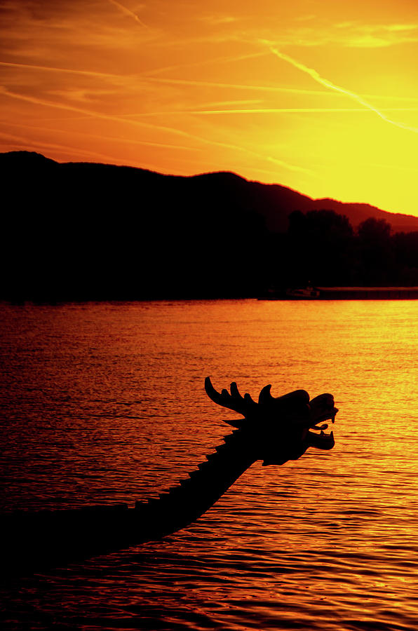 The Dragon of the Danube Photograph by Tito Slack