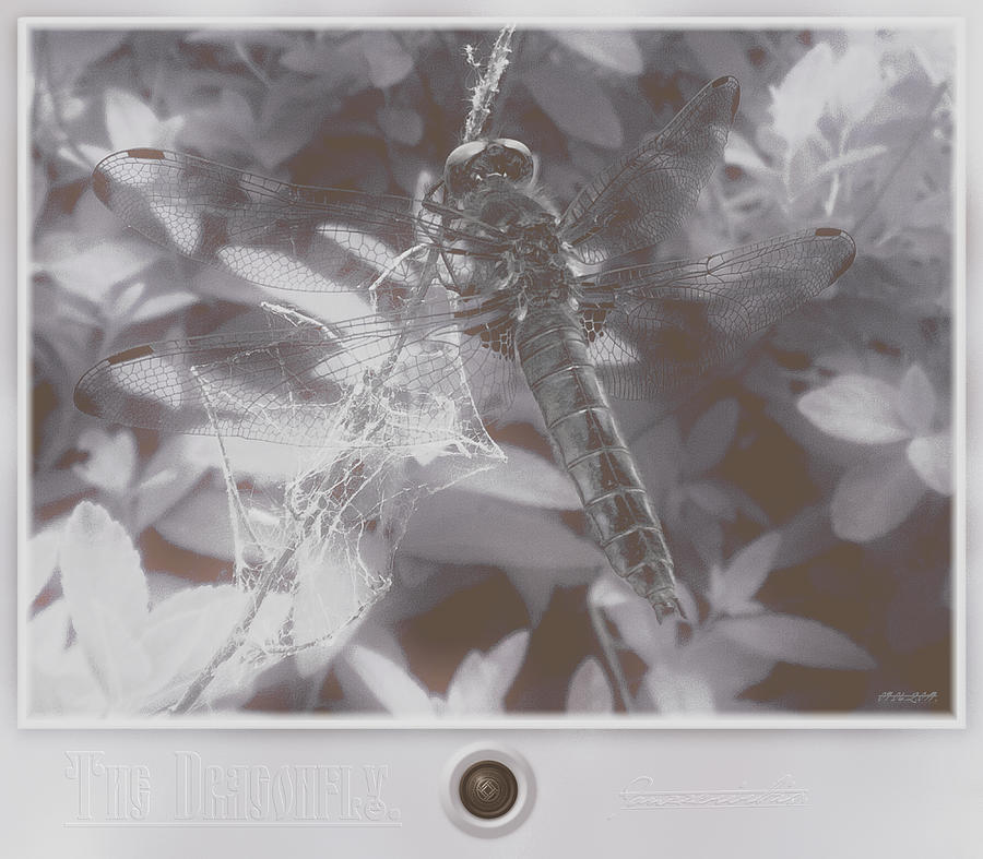 The Dragonfly. Digital Art