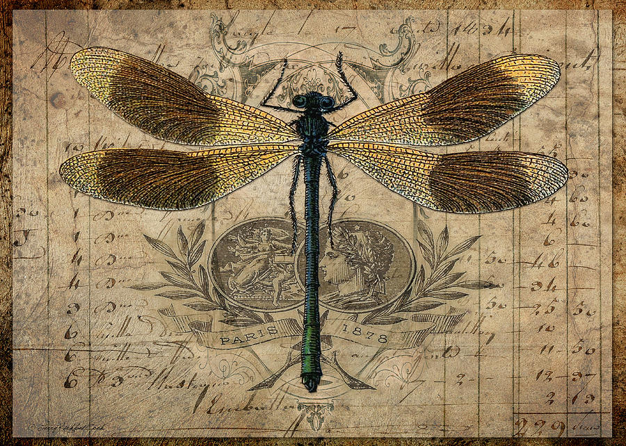 The Dragonfly Digital Art by Terry Kirkland Cook