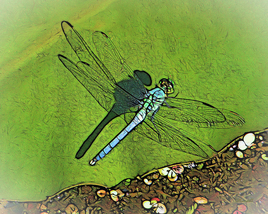 The Dragonflys Shadow Digital Art by Dennis Lundell