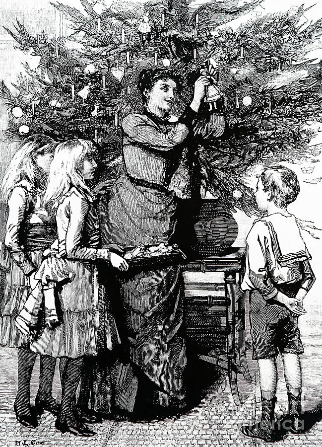The dressing of a Christmas tree Drawing by English School