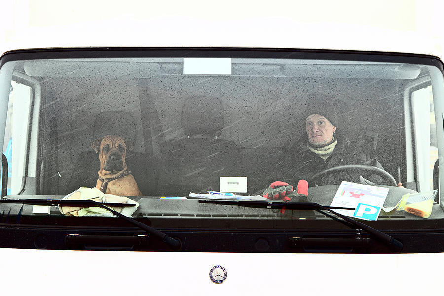 Animal Photograph - The Driver And His Navigator by Alberto Carati