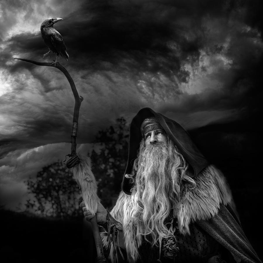 Black And White Photograph - The Druid And The Crow by Marcoantonio