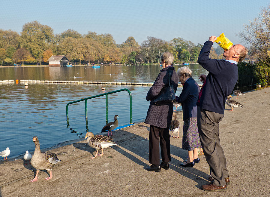 London Photograph - The Duck Feeders by Lorenzo Grifantini