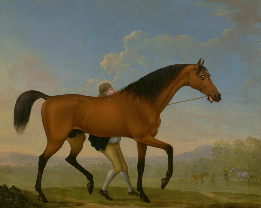 The Duke of Ancasters Bay Stallion, Blank, Walking Towards a Mare Painting by William Shaw