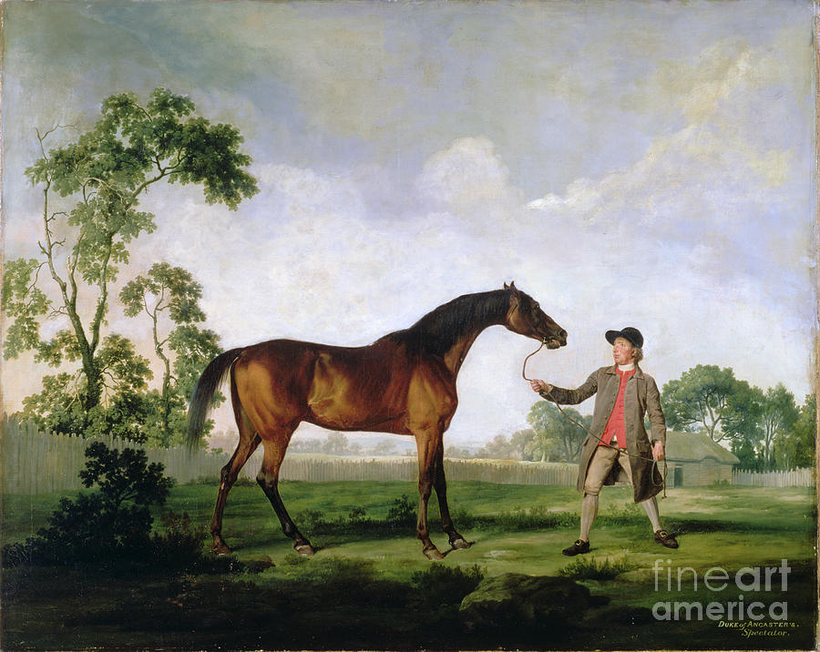 The Duke Of Ancasters Bay Stallion spectator, Held By A Groom, C.1762-5 Painting by George Stubbs