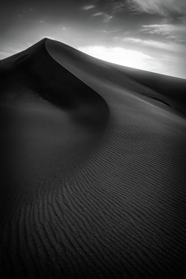 The Dune Photograph by Judi Kubes