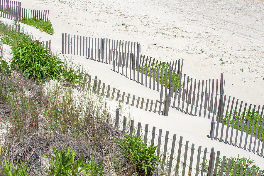 The Dunes 16 by David Stasiak The Dunes 16 by David Stasiak