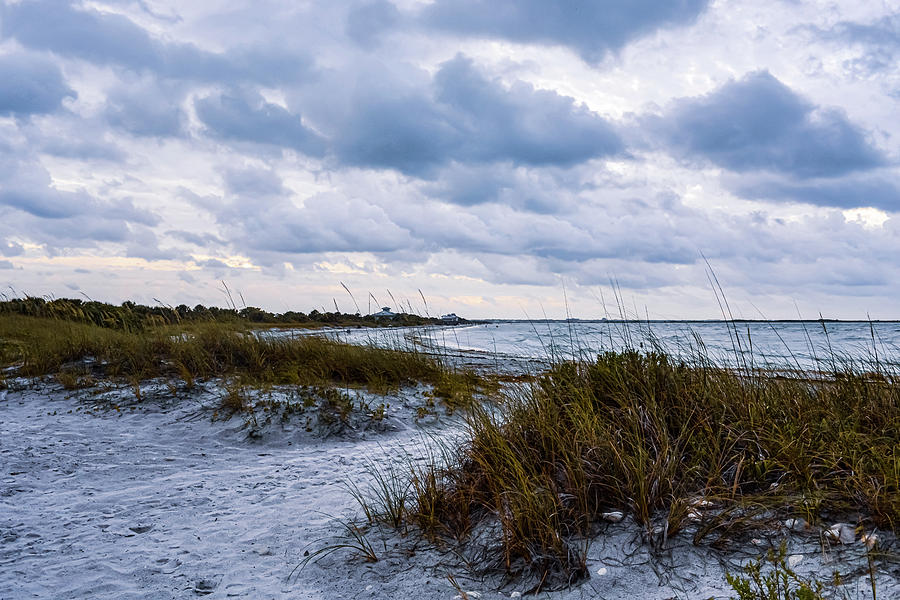 The Dunes at Honeymon Island, Florida Photograph by Rebecca Carr