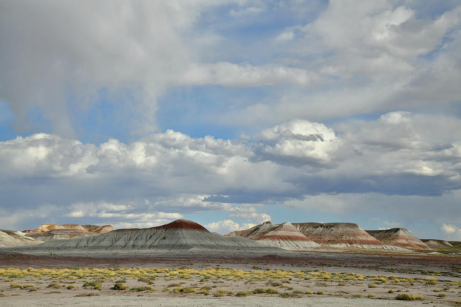 The Dunes of Petrified Forest NP Photograph by Ray Mathis