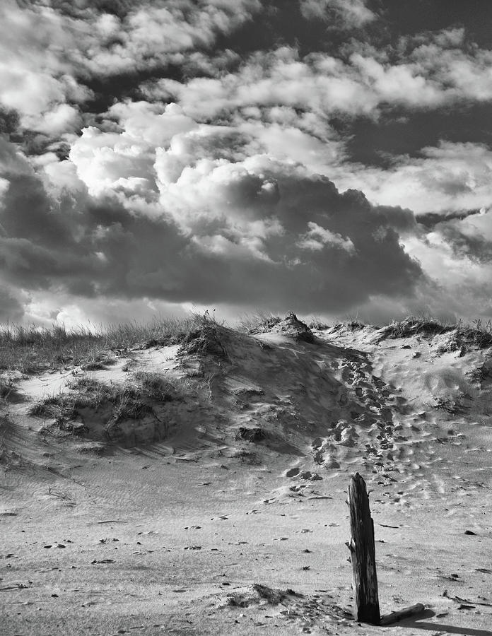 The Dunes Photograph by Richard Worthington
