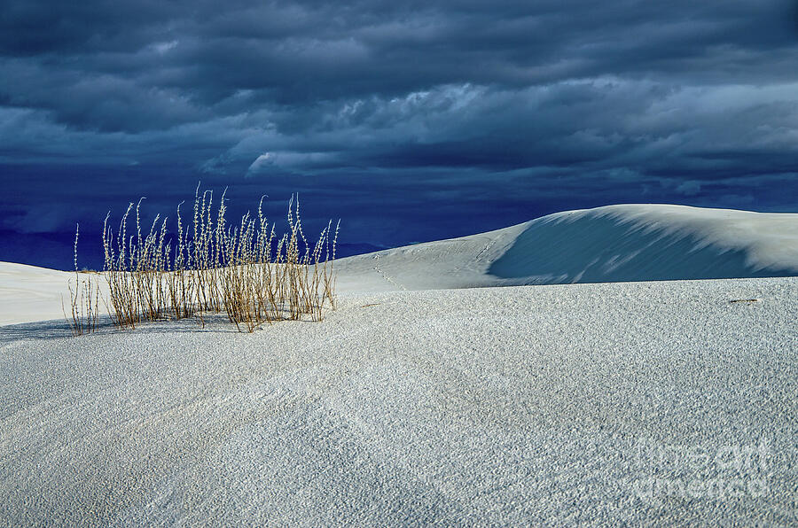 The Dunes Photograph by Stephen Whalen