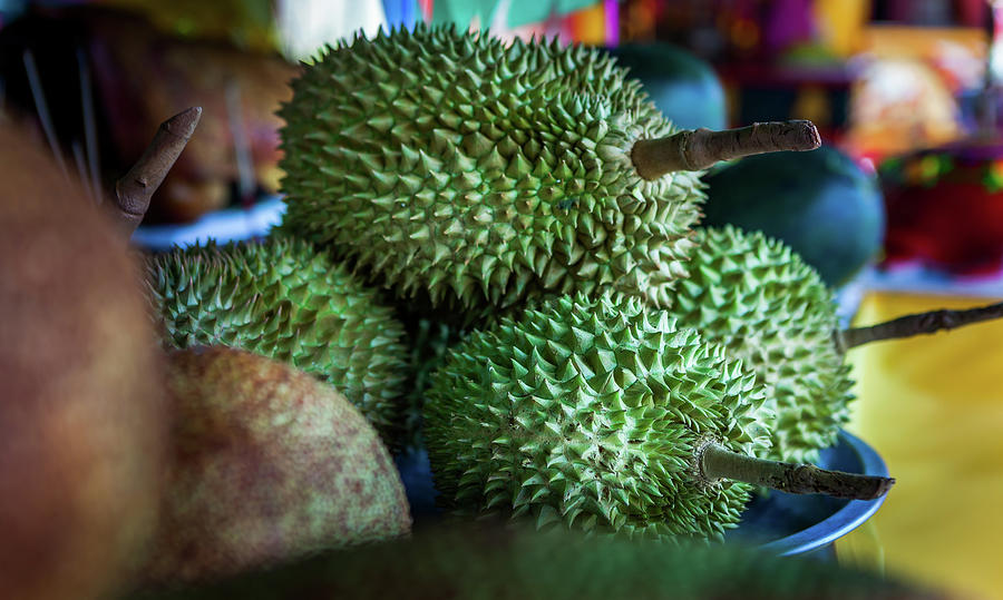 The Durian  King Of Fruits Photograph by Simonlong