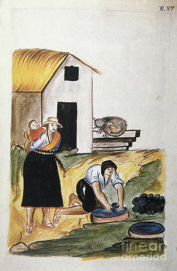 The Dyeing Of Wool, From The Book trujillo Del Peru Or códice Martínez Compañón, By Baltazar Martinez Compañón Y Bujanda, Bishop Of Trujillo Painting by Unknown Artist