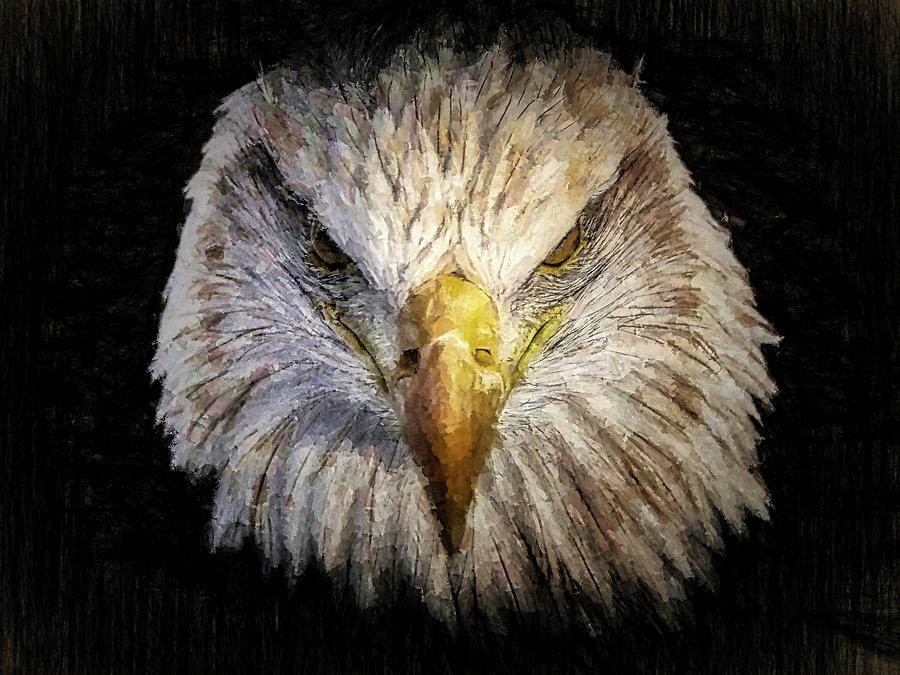 The Eagle 3 Digital Art by Ernest Echols