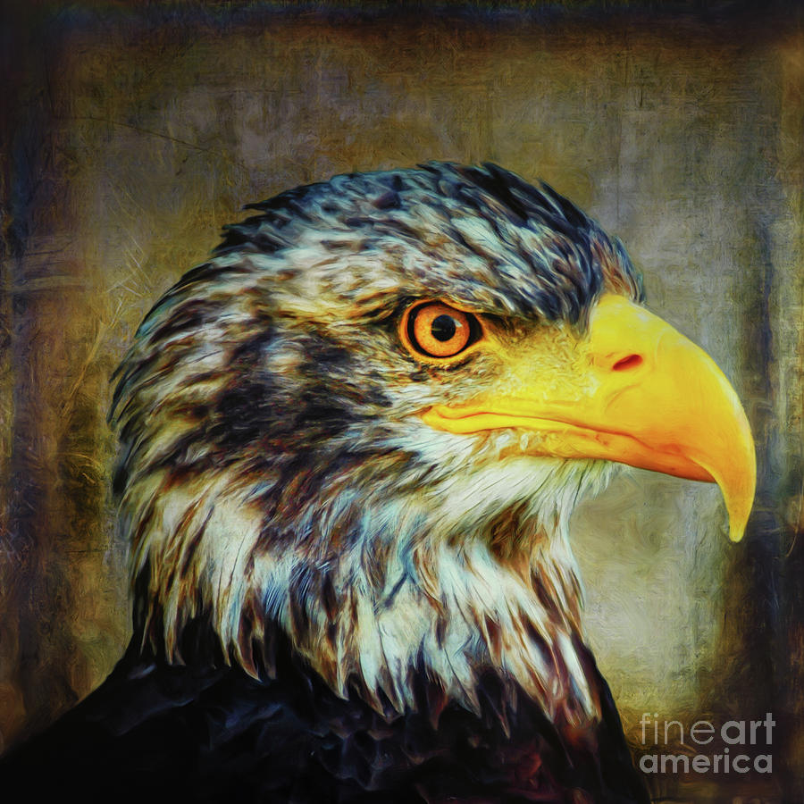 The Eagle by Angela Doelling AD DESIGN Photo and PhotoArt The Eagle by Angela Doelling AD DESIGN Photo and PhotoArt