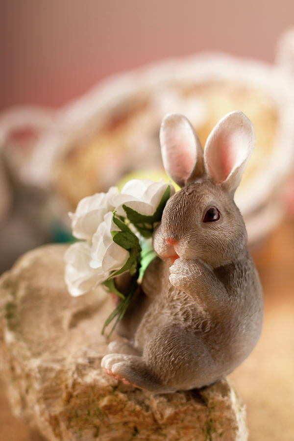The Easter Bunny Photograph by Christine Sponchia