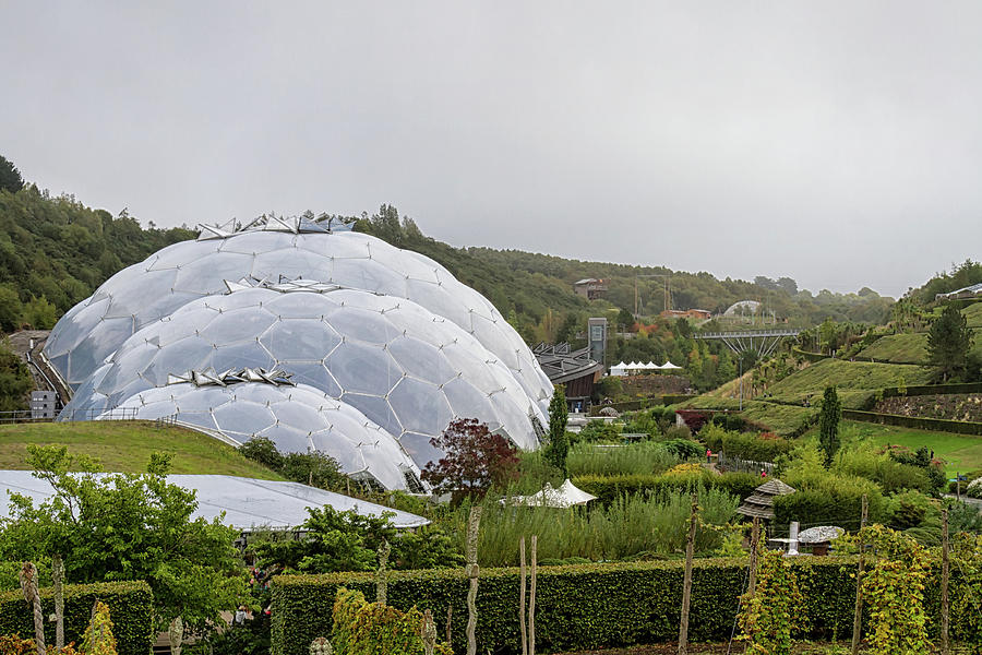 The Eden Project Photograph by Shirley Mitchell