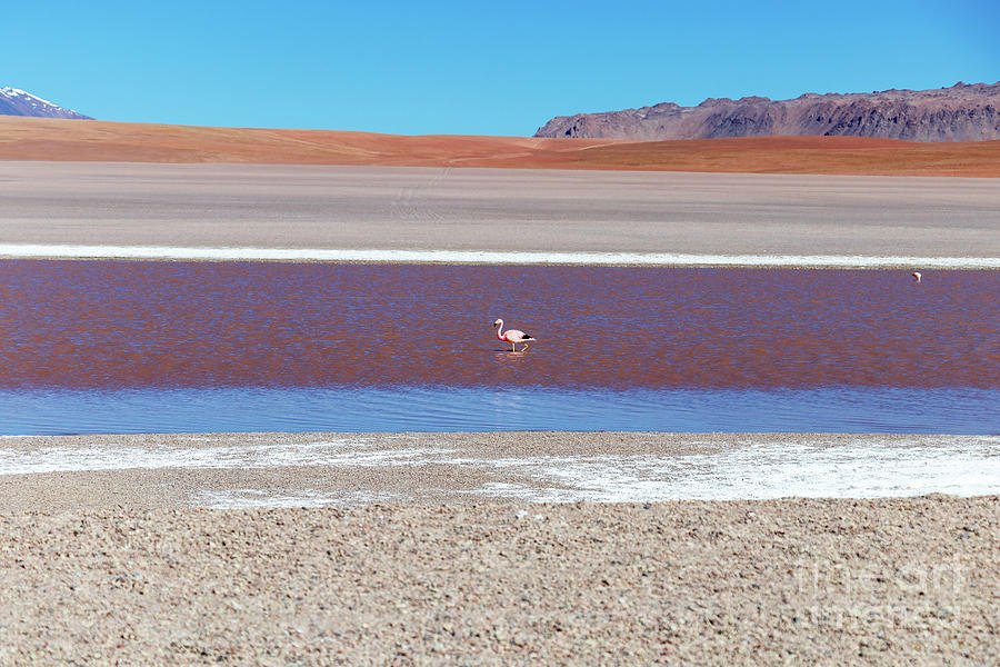 The Eduardo Avaroa Andean Fauna National Reserve, Bolivia Photograph by