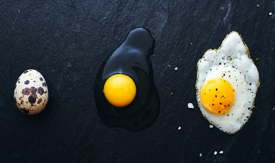 Egg Photograph - The Egg Way by Aleksandrova Karina