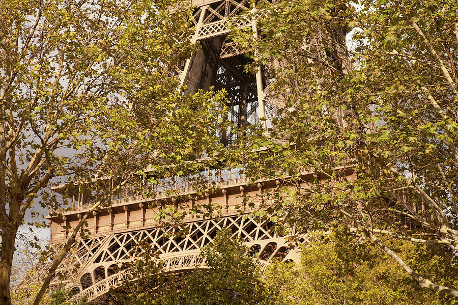 The Eiffel Tower, Seen Through Trees Photograph by Owen Franken