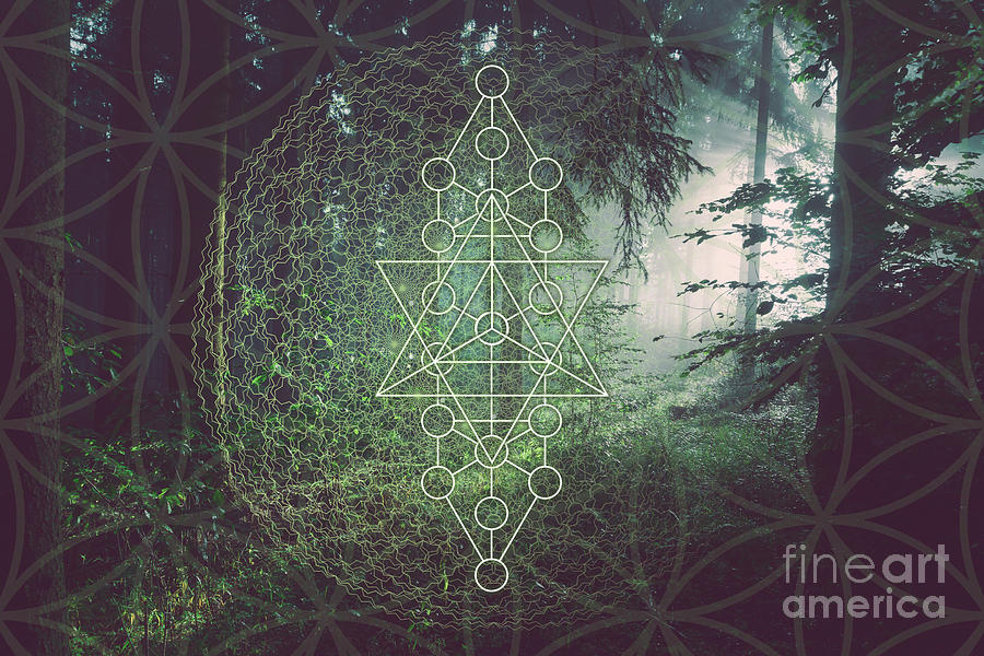 The Elementals Sacred Geometry by Nathalie DAOUT The Elementals Sacred Geometry by Nathalie DAOUT