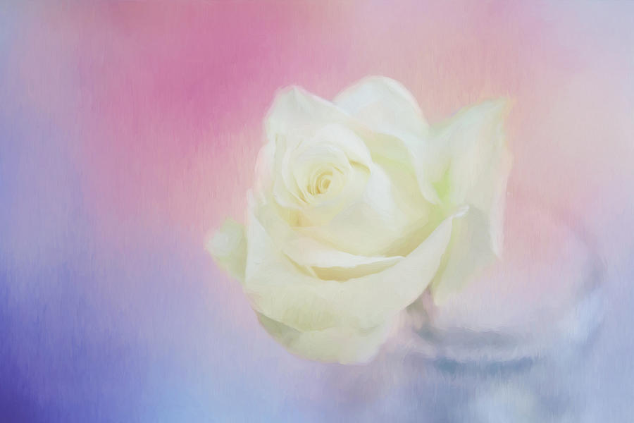 Rose Photograph - The Enchanted by Kim Hojnacki