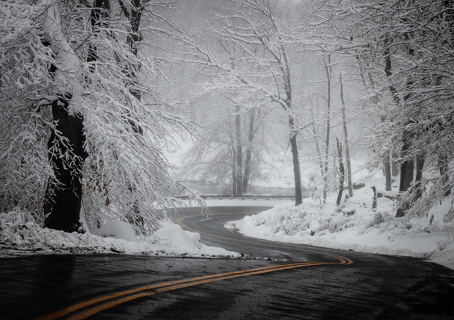 Winter Photograph - The Enchanting Path by Wei (david) Dai