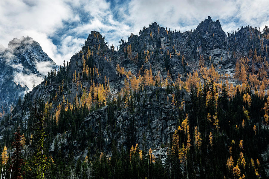 The Enchantments - Larches Photograph by Pelo Blanco Photo