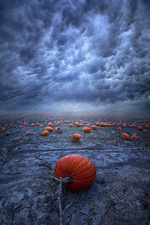 The End Was Left Behind Photograph by Phil Koch