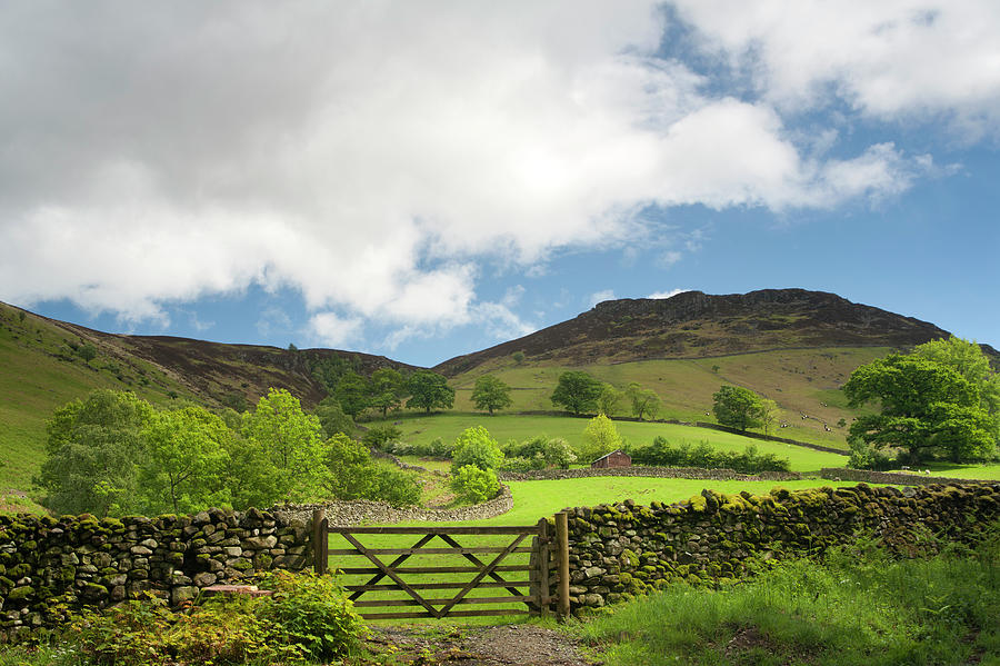 The English Lake District In Spring Photograph by Antonyspencer