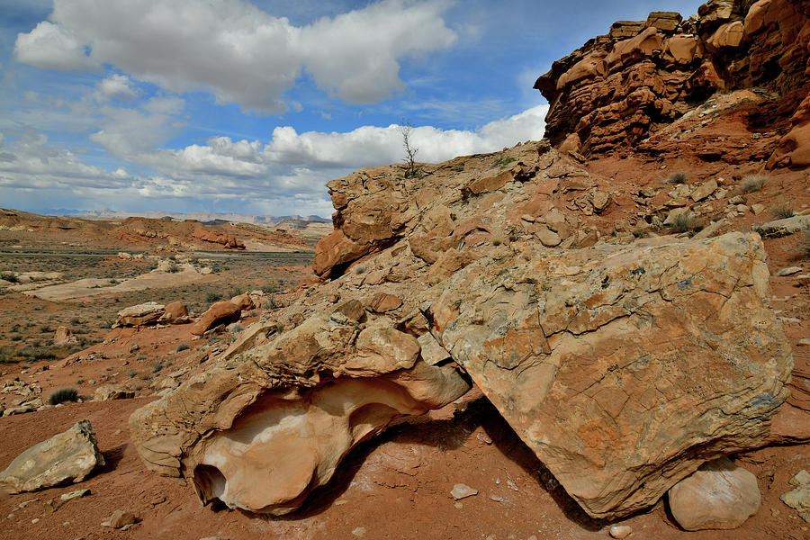 The Entrance to County Road 1028 along San Rafael Swell Photograph by Ray Mathis