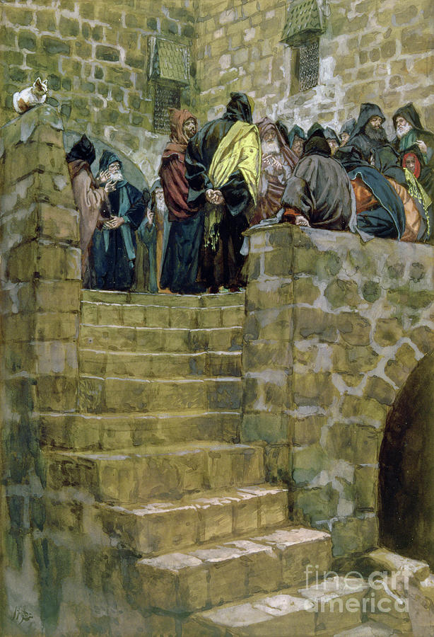 Cat Photograph - The Evil Counsel Of Caiaphas, Illustration For the Life Of Christ, C.1886-96 by James Jacques Joseph Tissot