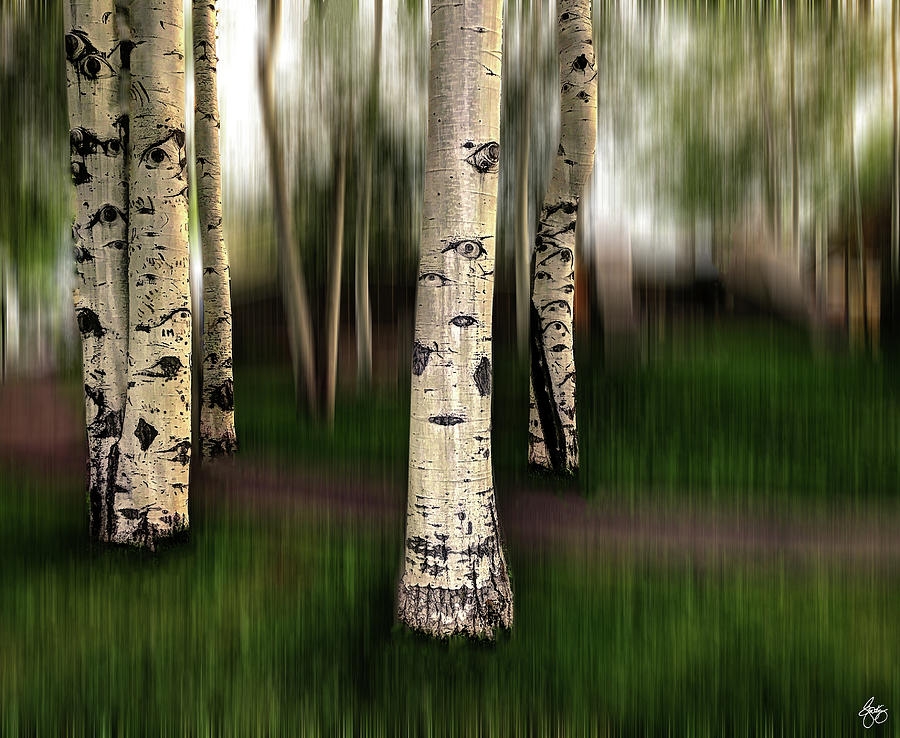 The Eyes of Aspen are Upon Us by Wayne King The Eyes of Aspen are Upon Us by Wayne King