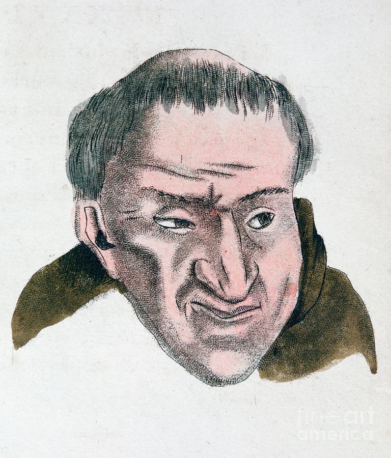 The Facial Characteristics Drawing by Print Collector
