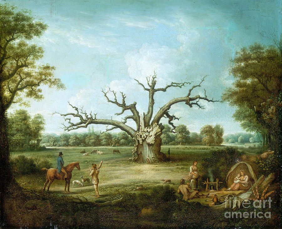 The Fairlop Oak, Hainault Forest, 1816 Drawing by Heritage Images