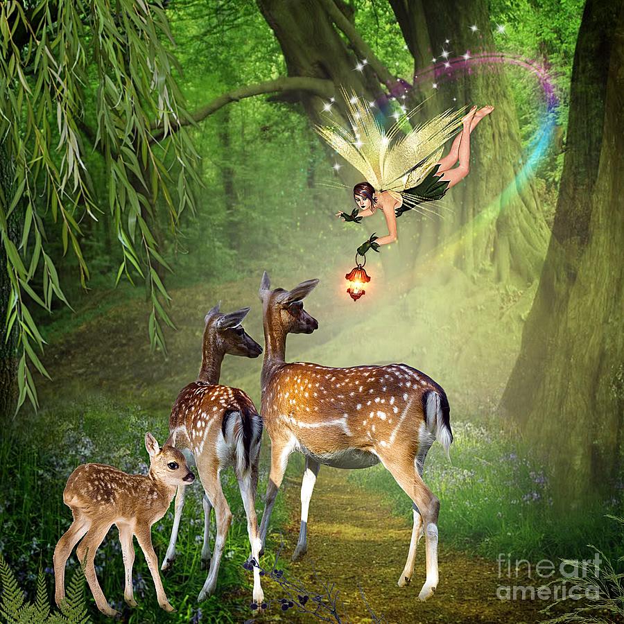 The Fairy of the Forest by Morag Bates The Fairy of the Forest by Morag Bates
