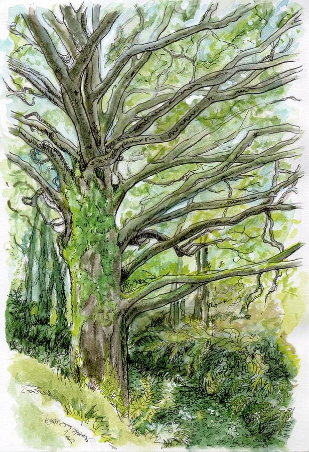 Ireland Painting - The Fairy Tree by Tahirih Goffic