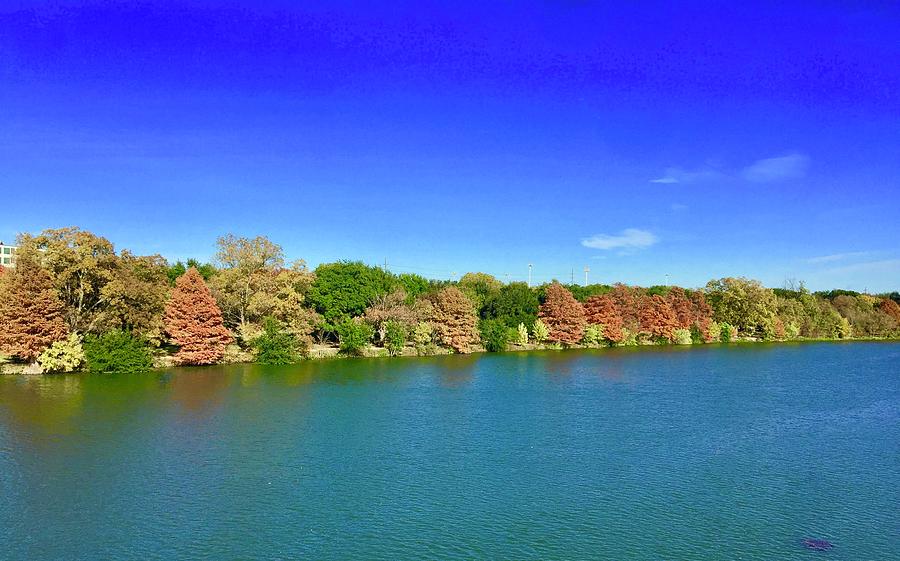 Fall Colors@Lady Bird Lake, Austin,TX Photograph by Bnte Creations