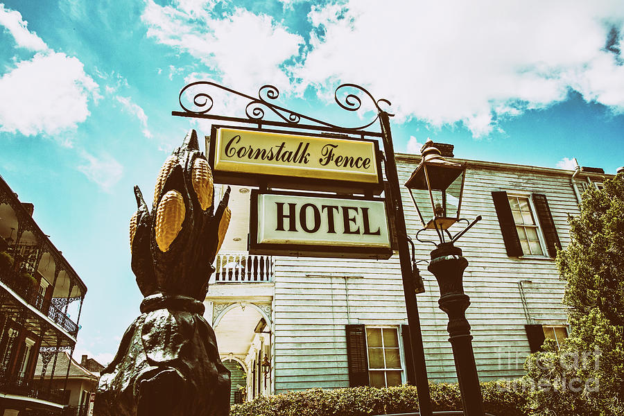 The Famous Cornstalk Fence Hotel Photograph by Scott Pellegrin