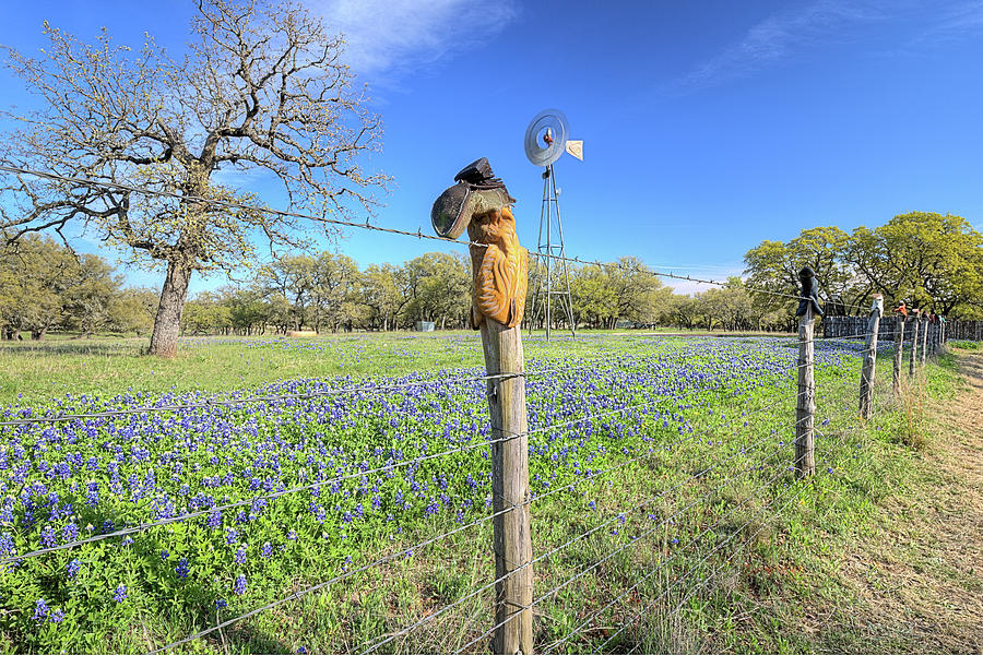 The Famous Cowboy Boot Fence on the Willow City Loop Photograph by JC Findley