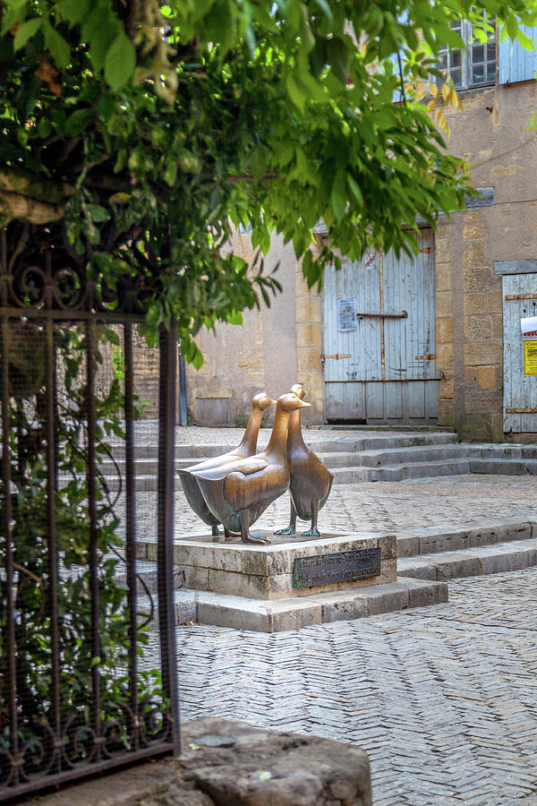 Statue Photograph - The Famous Geese Of Sarlat by W Chris Fooshee Statue Photograph - The Famous Geese Of Sarlat by W Chris Fooshee