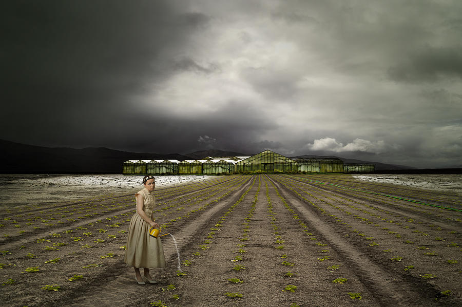 The Farm Photograph by Christine Von Diepenbroek