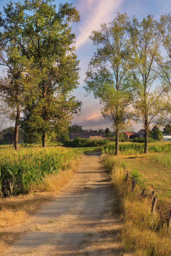 The Farm Lane in the Sunshine Photograph by Debra and Dave Vanderlaan
