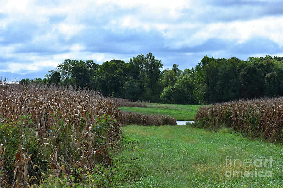 The Farm Pond Photograph by Skip Willits