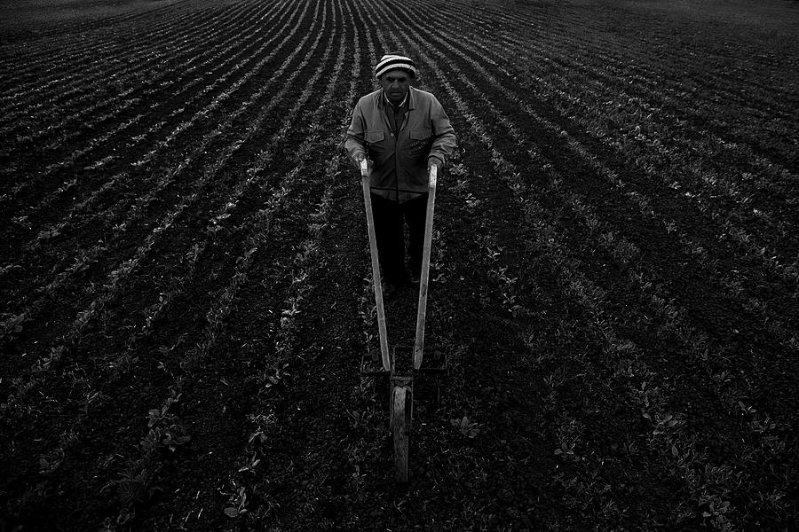 Black And White Photograph - The Farmer Into The Line by Umitbinzet