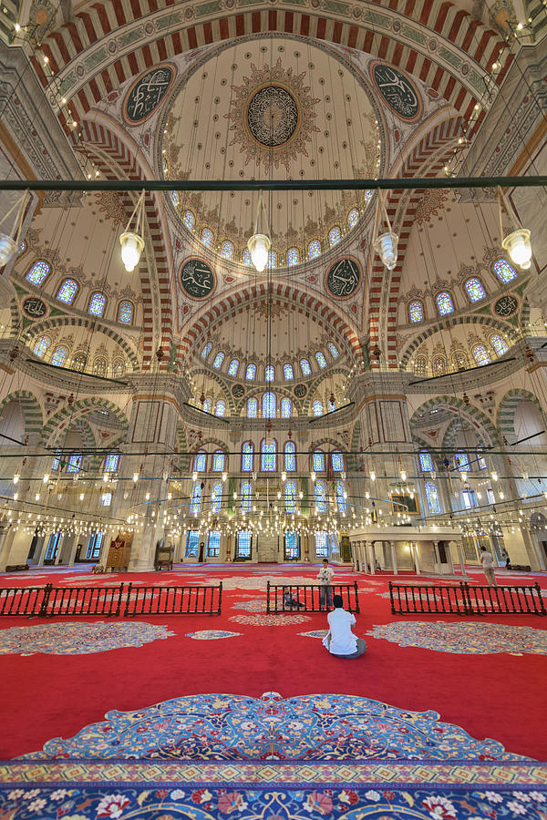 The Fatih Mosque Photograph by Salvator Barki