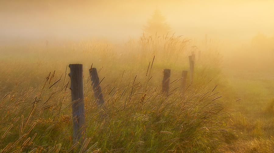 The Fence Row by Bryan Smith The Fence Row by Bryan Smith